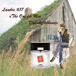 The One for Men – Dolce&Cabbana купить Ламбре №17